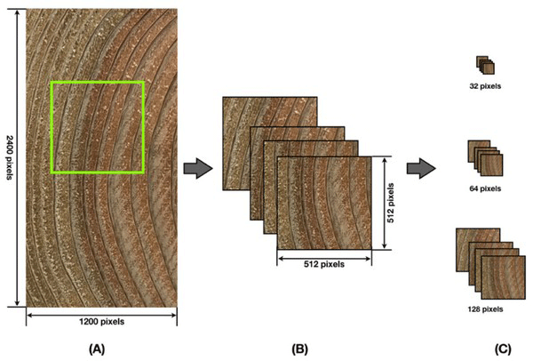 wood-45-6-797_F1