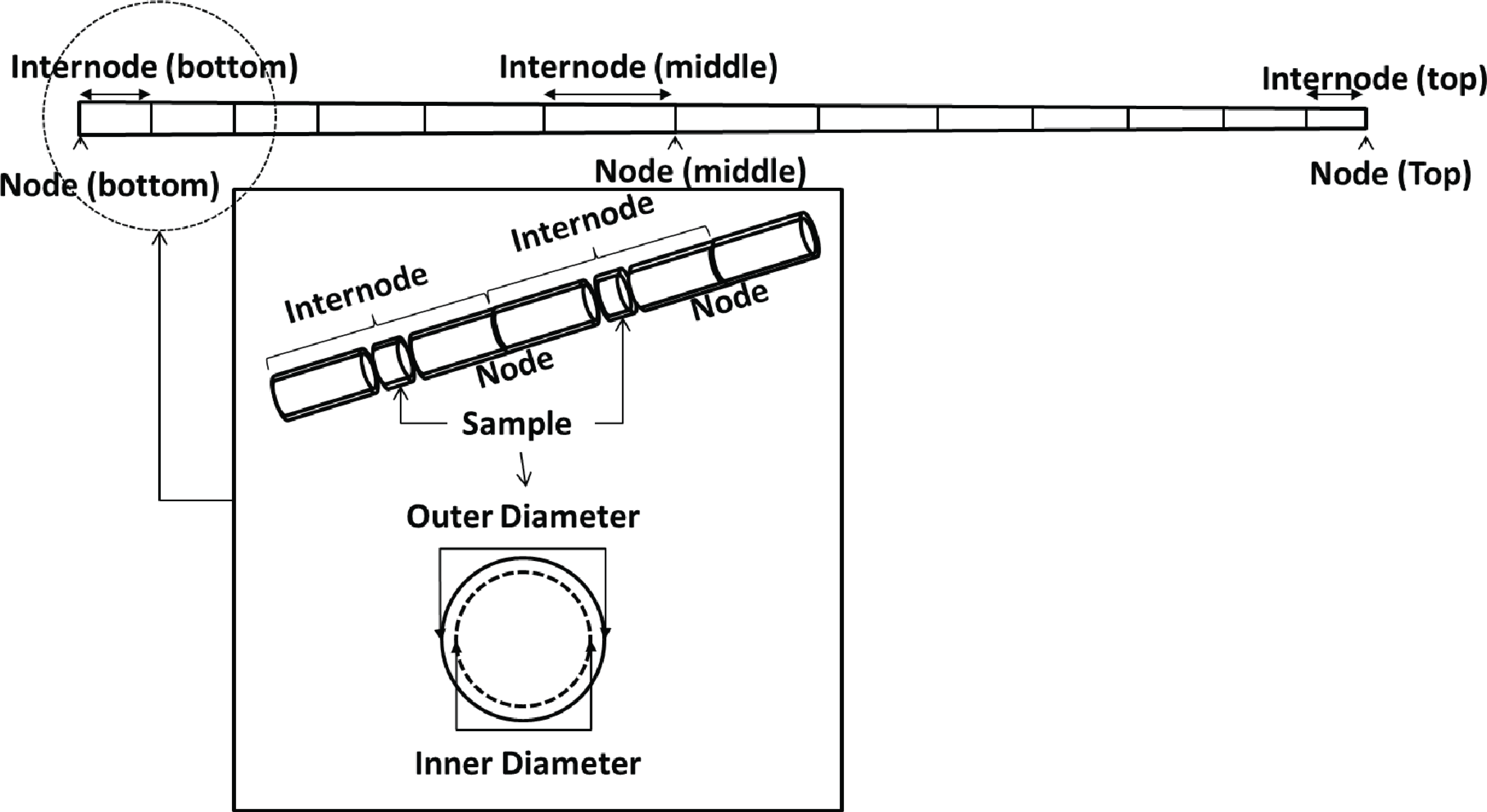 wood-46-4-315_F2