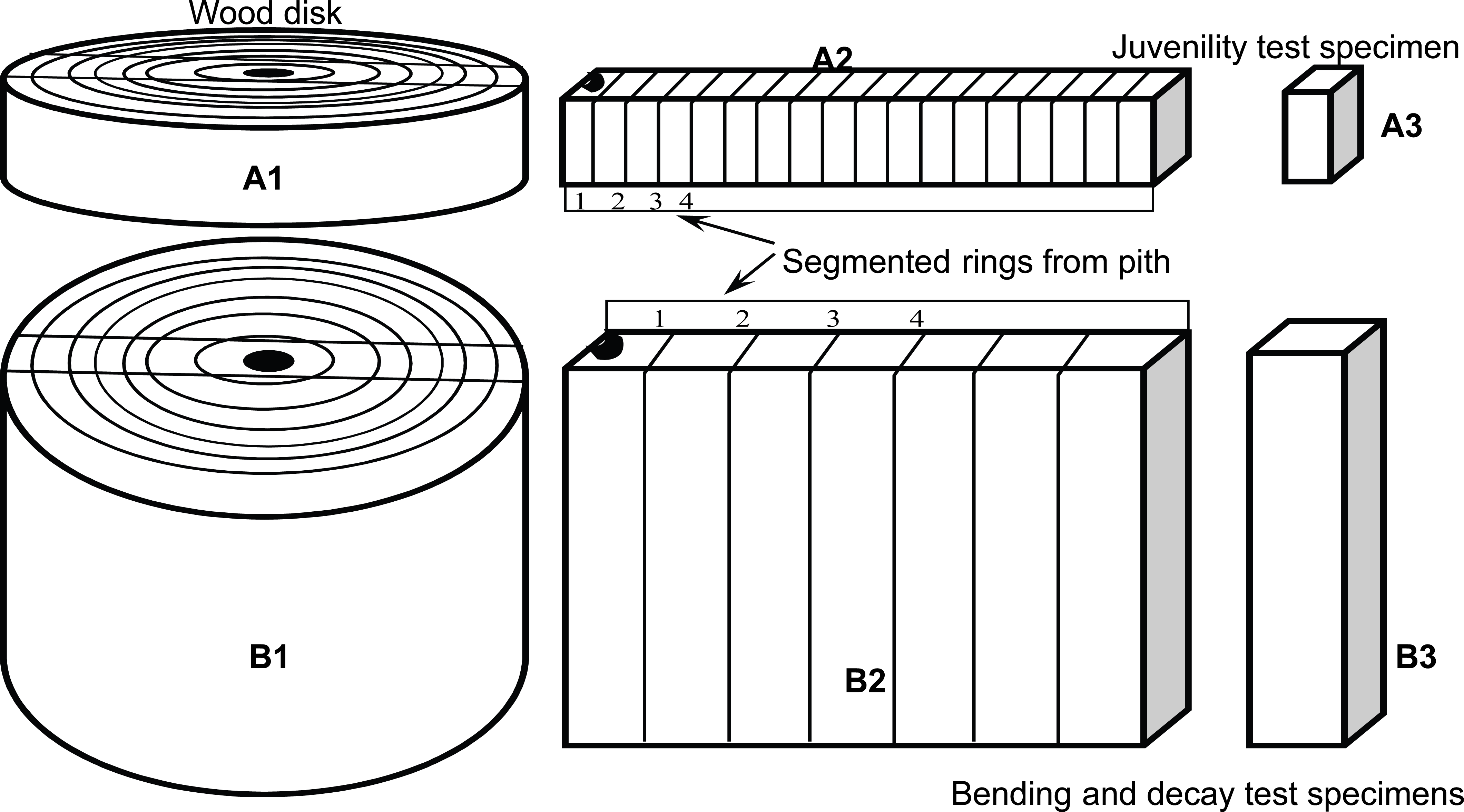 wood-46-4-323_F1