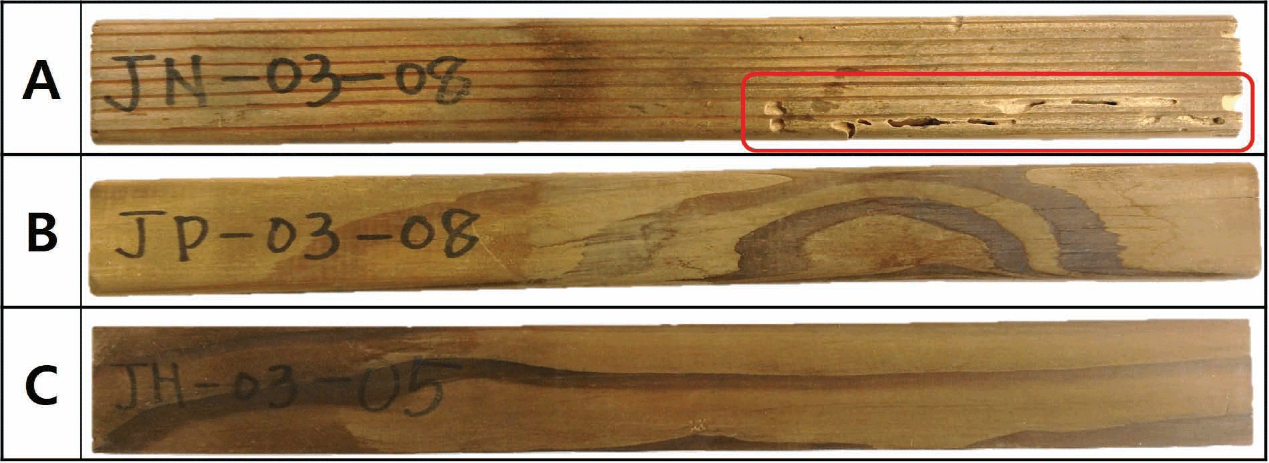 wood-46-5-497_F5