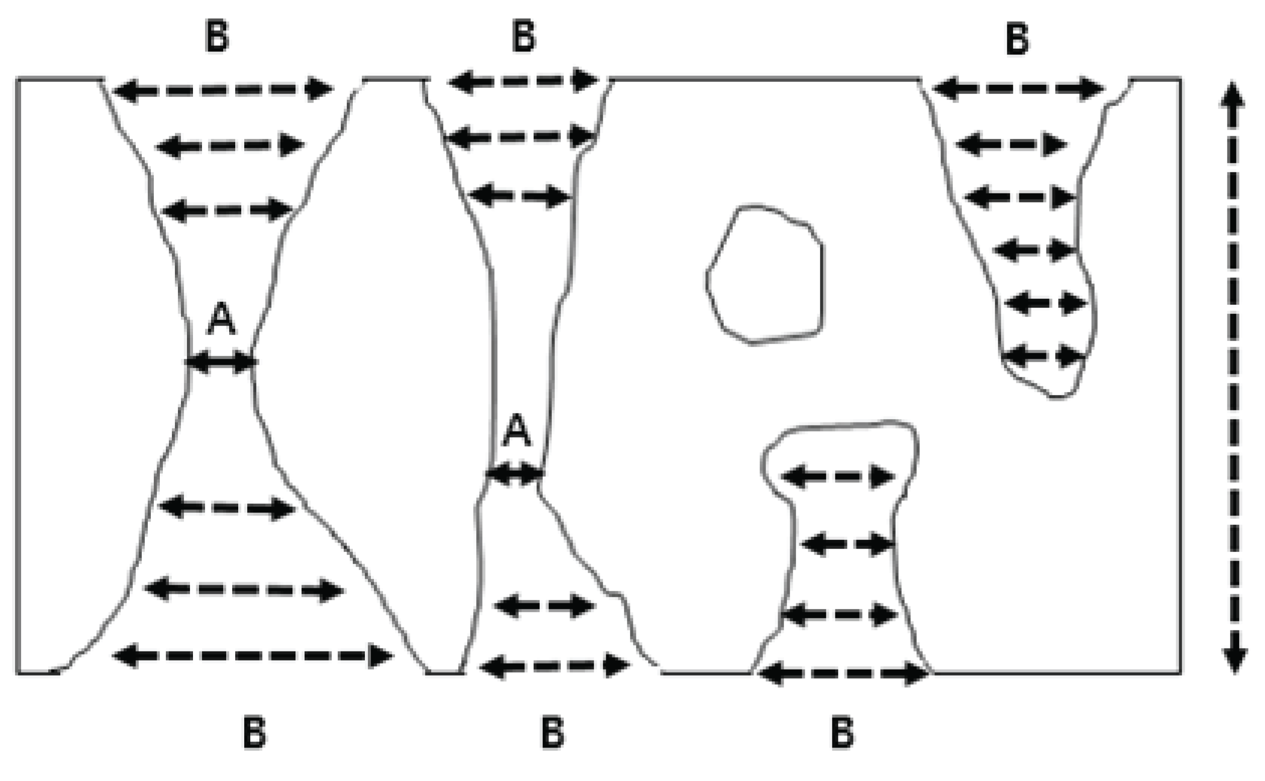 wood-46-6-681_F1