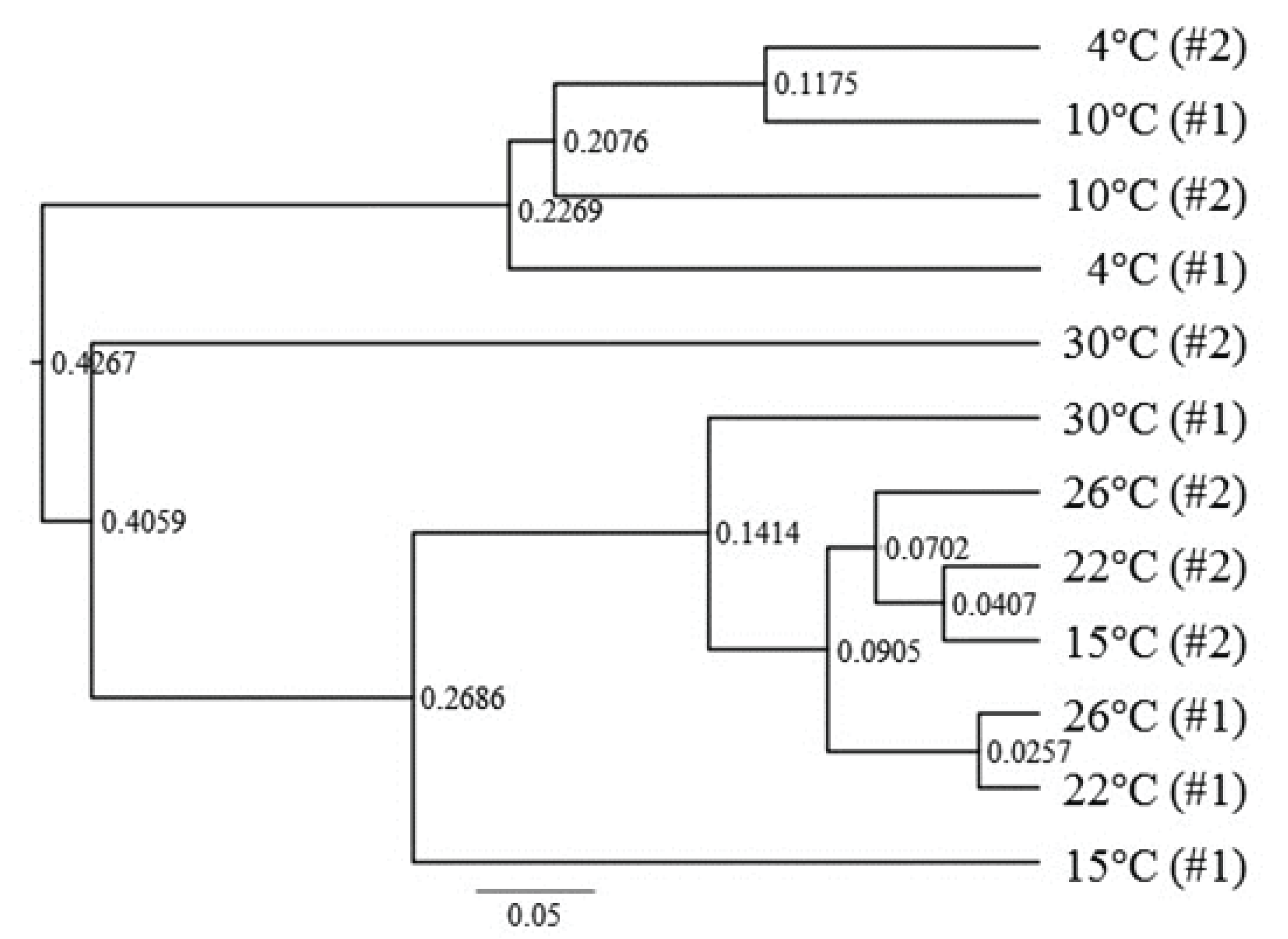 wood-46-6-713_F2