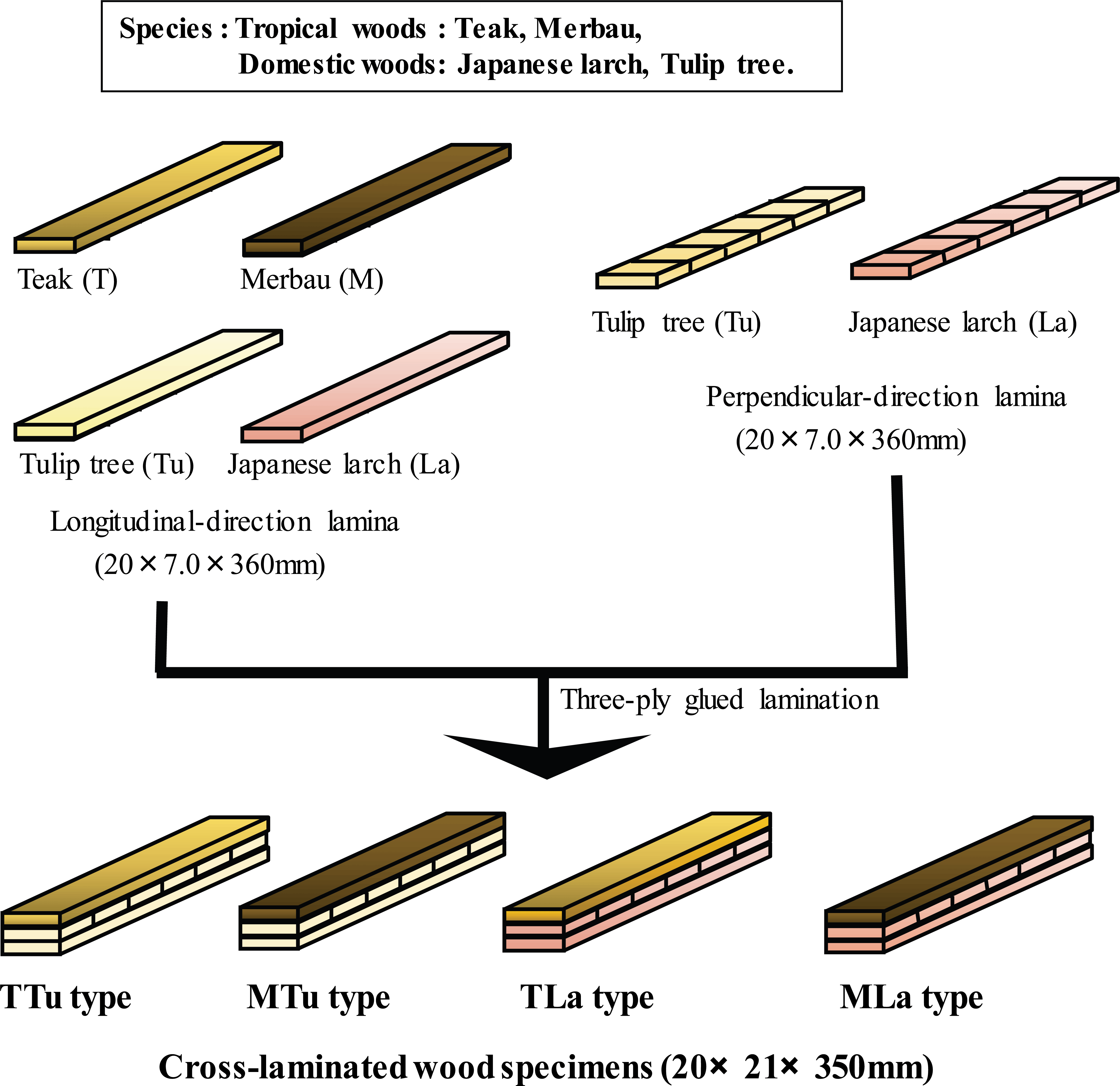 wood-46-6-726_F1