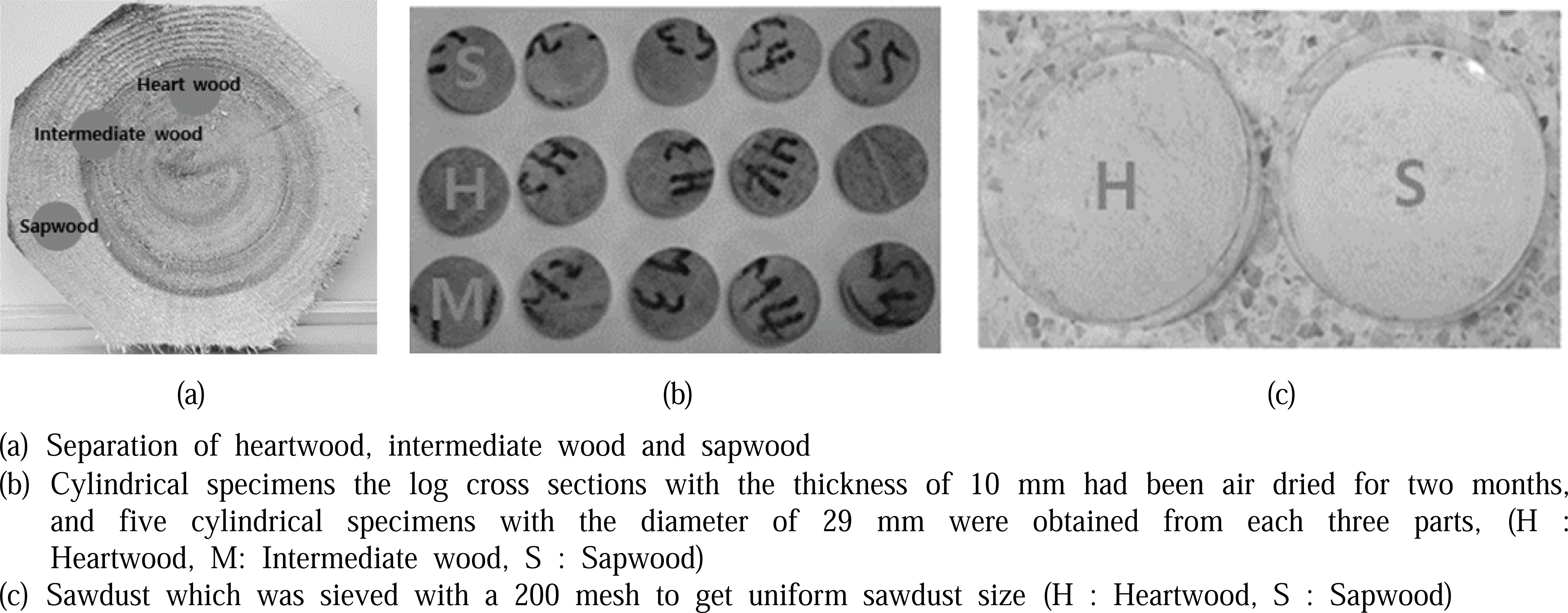 wood-47-1-8_F1