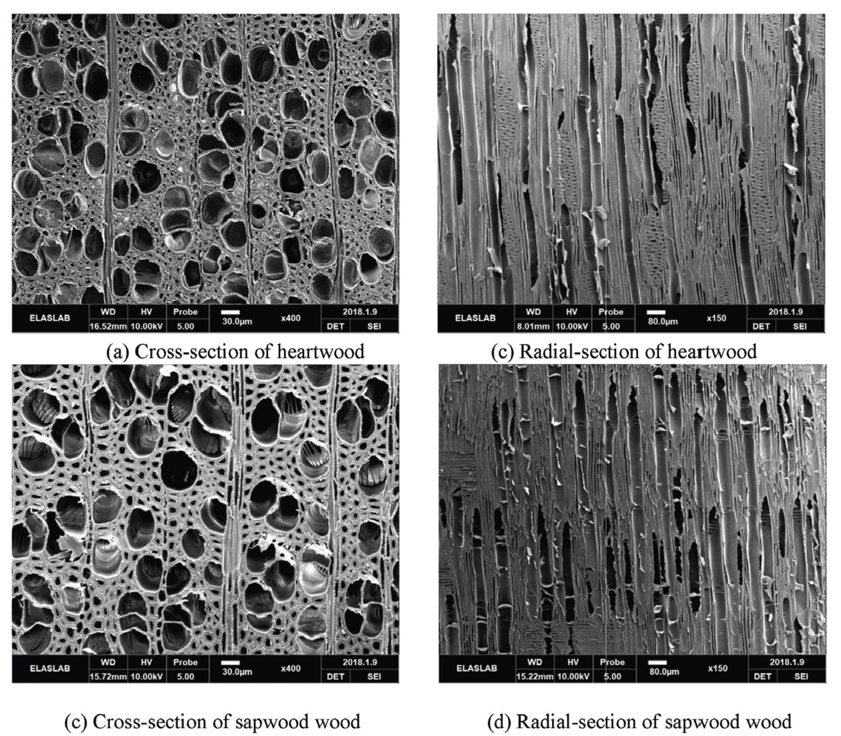 wood-47-1-8_F6