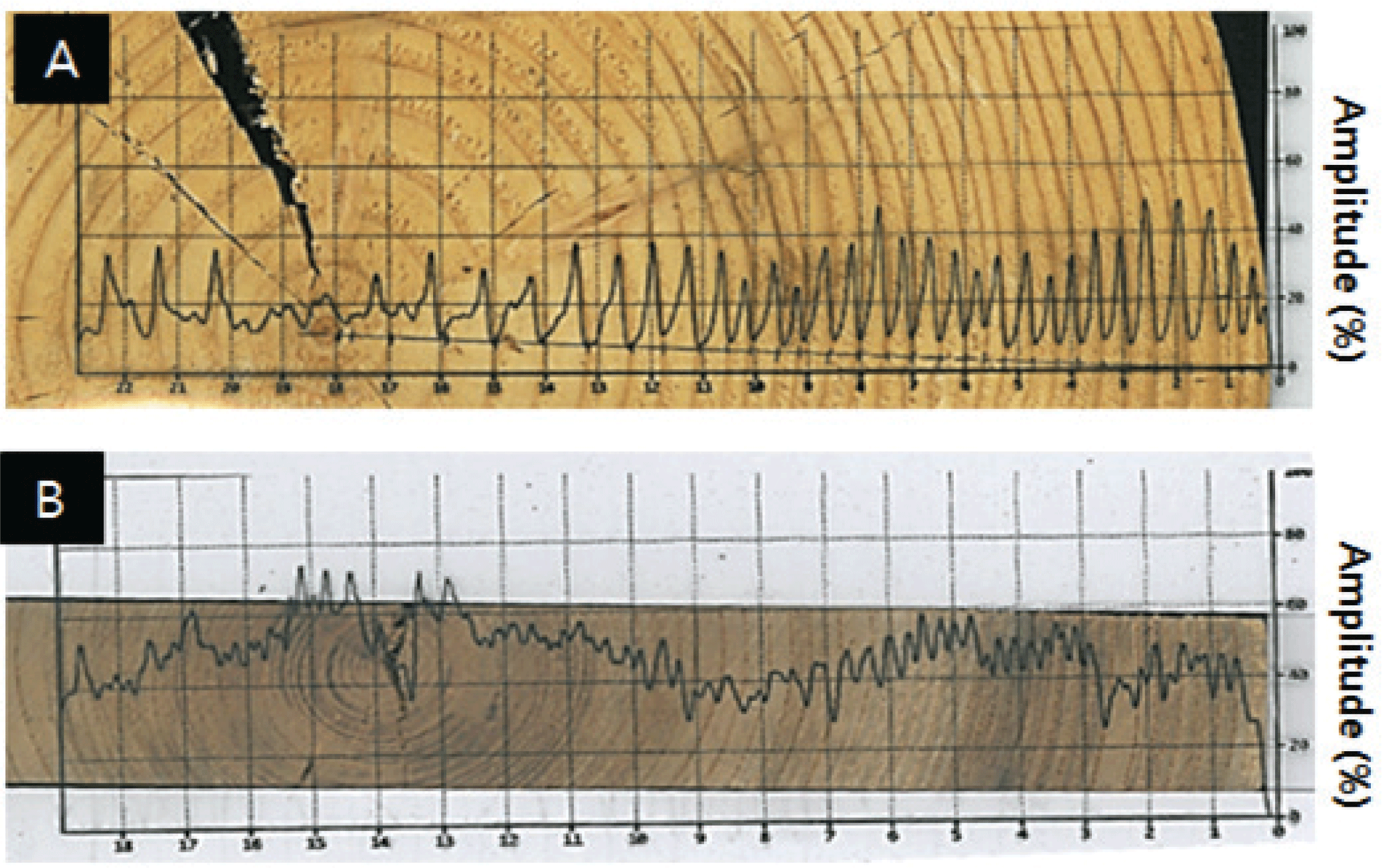 wood-47-1-90_F4