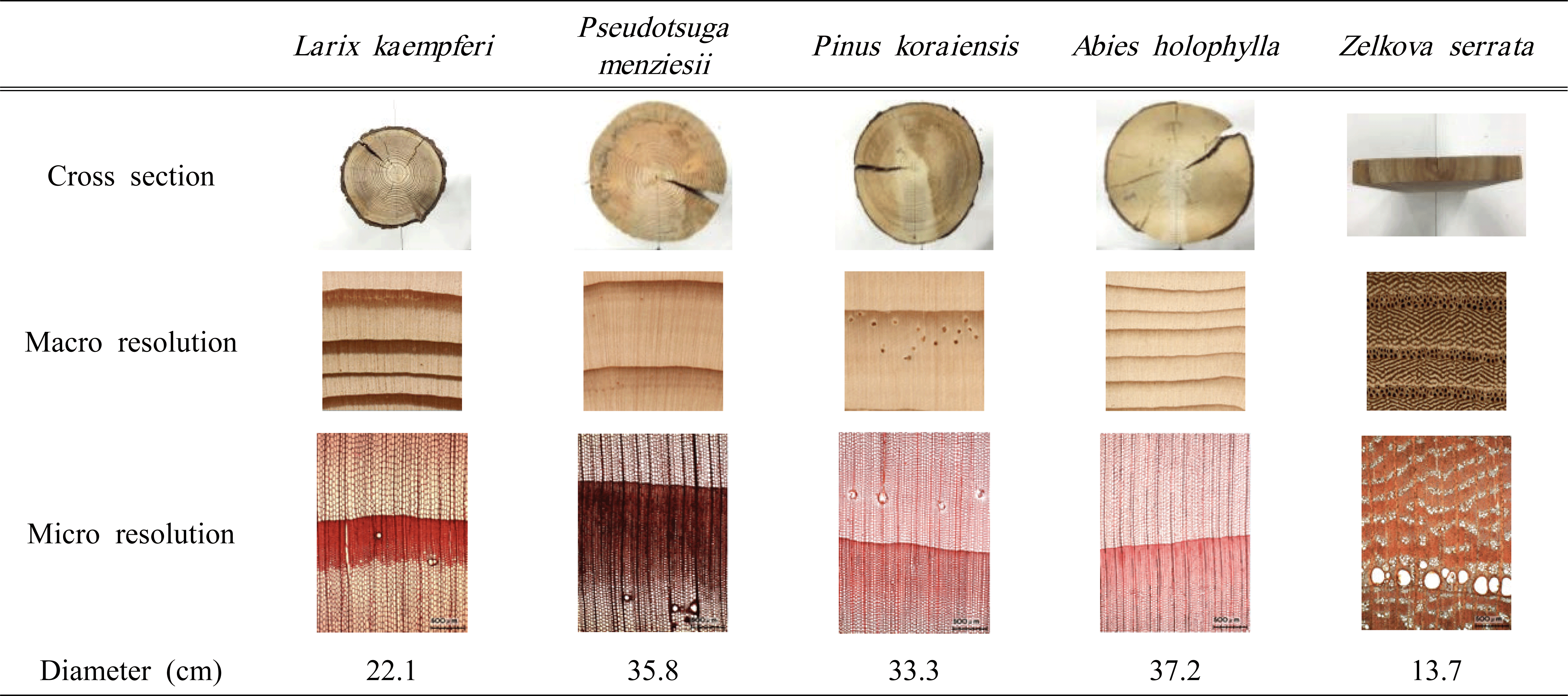 wood-47-1-90_T1