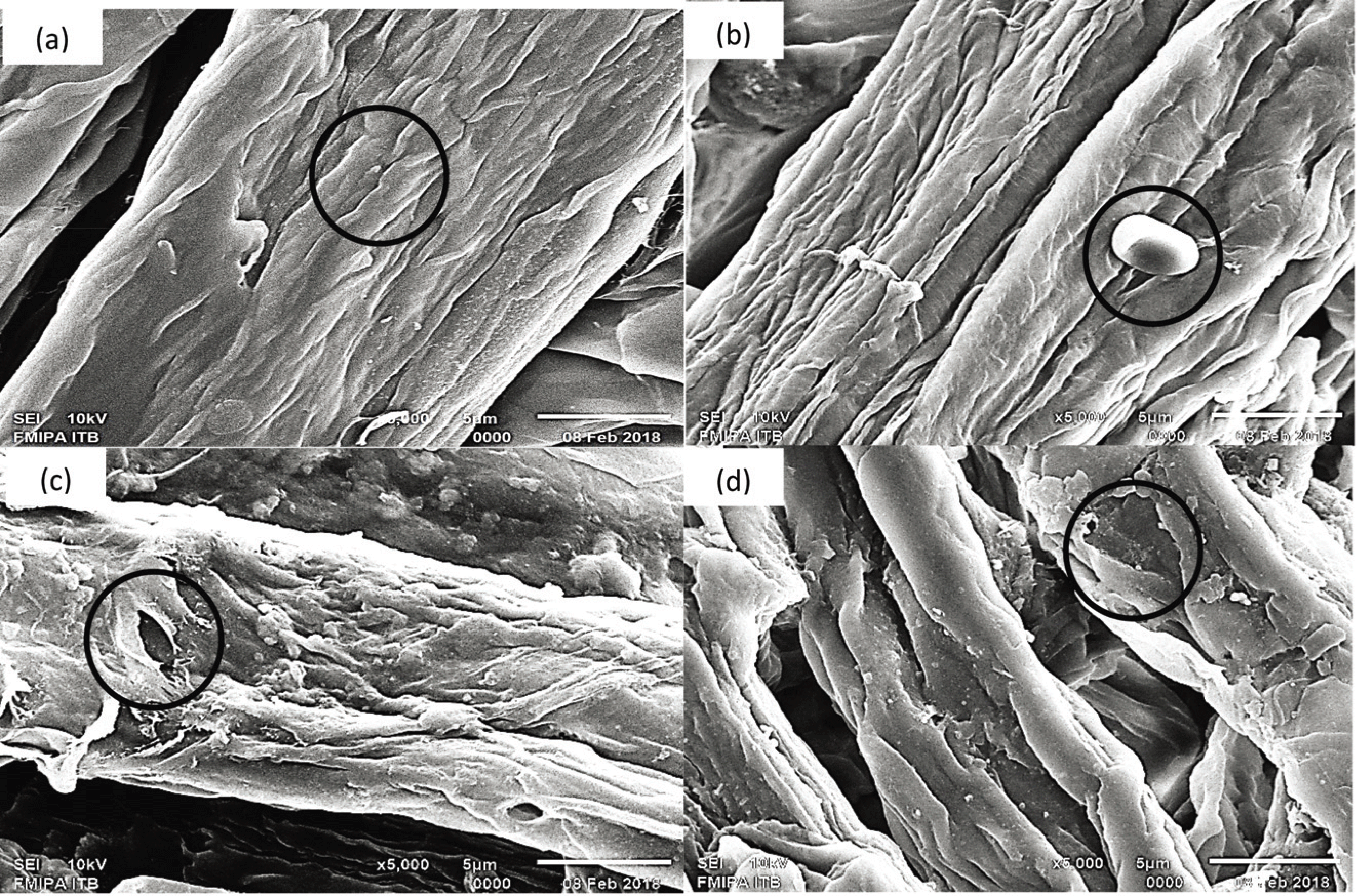 wood-47-2-145_F7