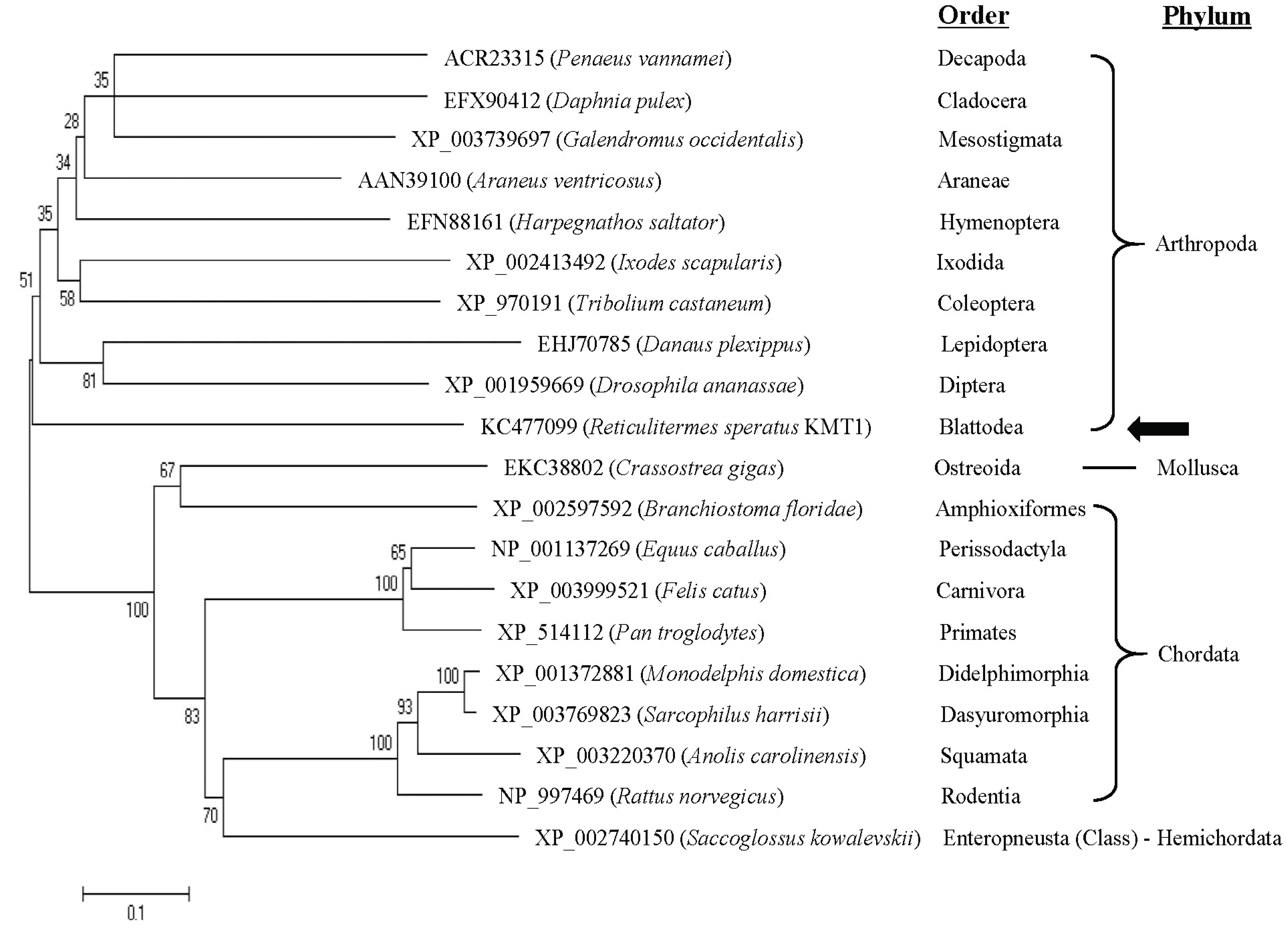 wood-47-3-371_F2