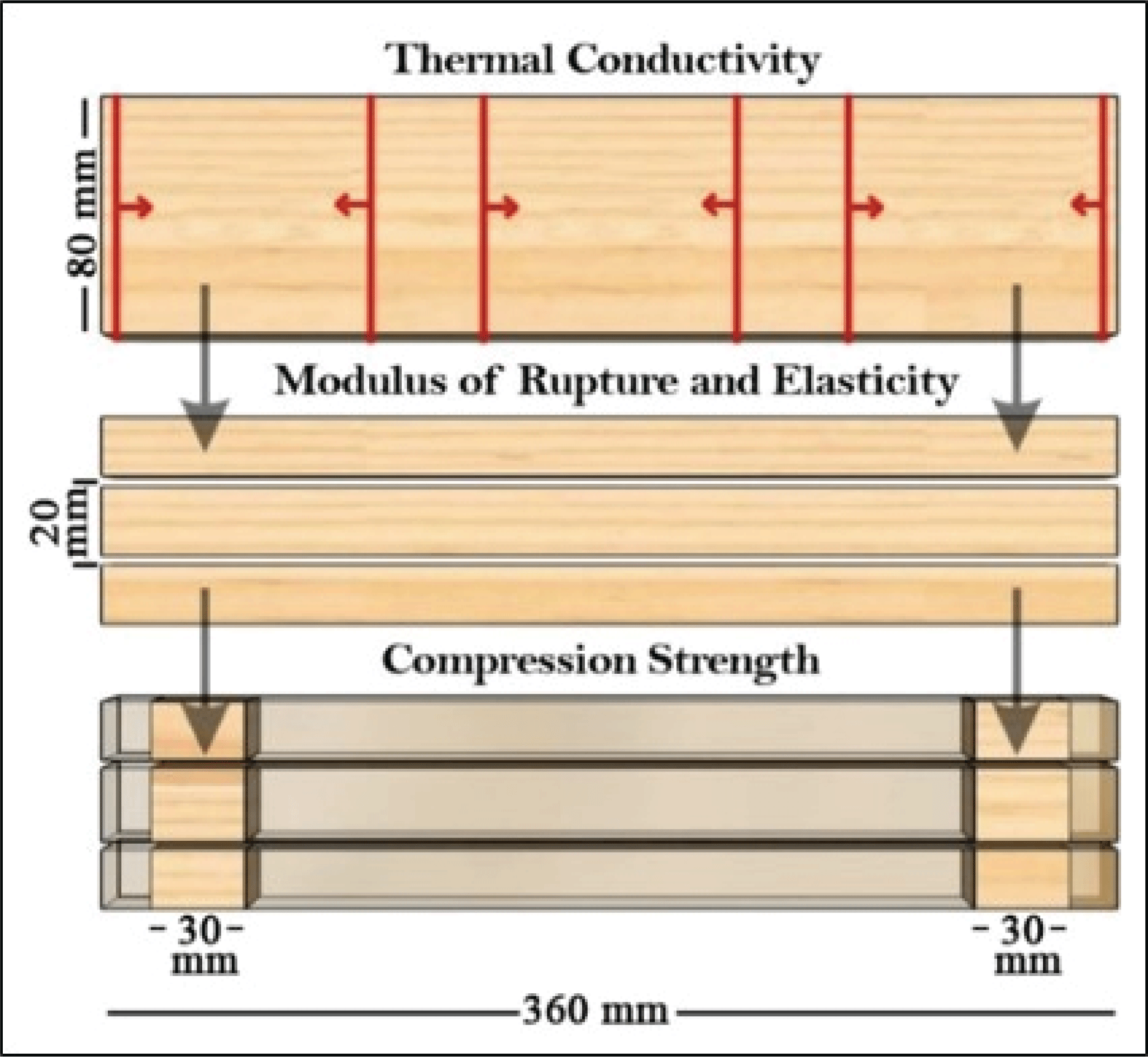 wood-47-4-408_F1