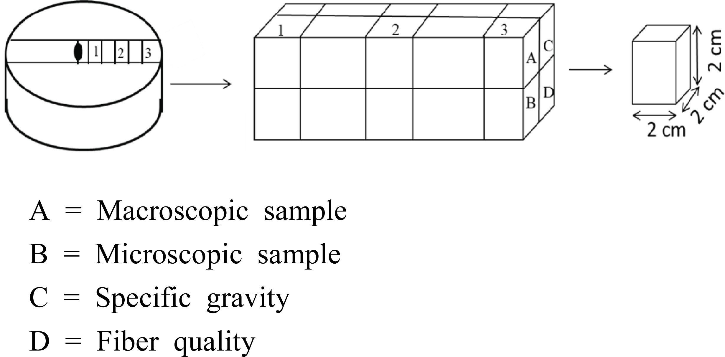 wood-47-5-617_F1