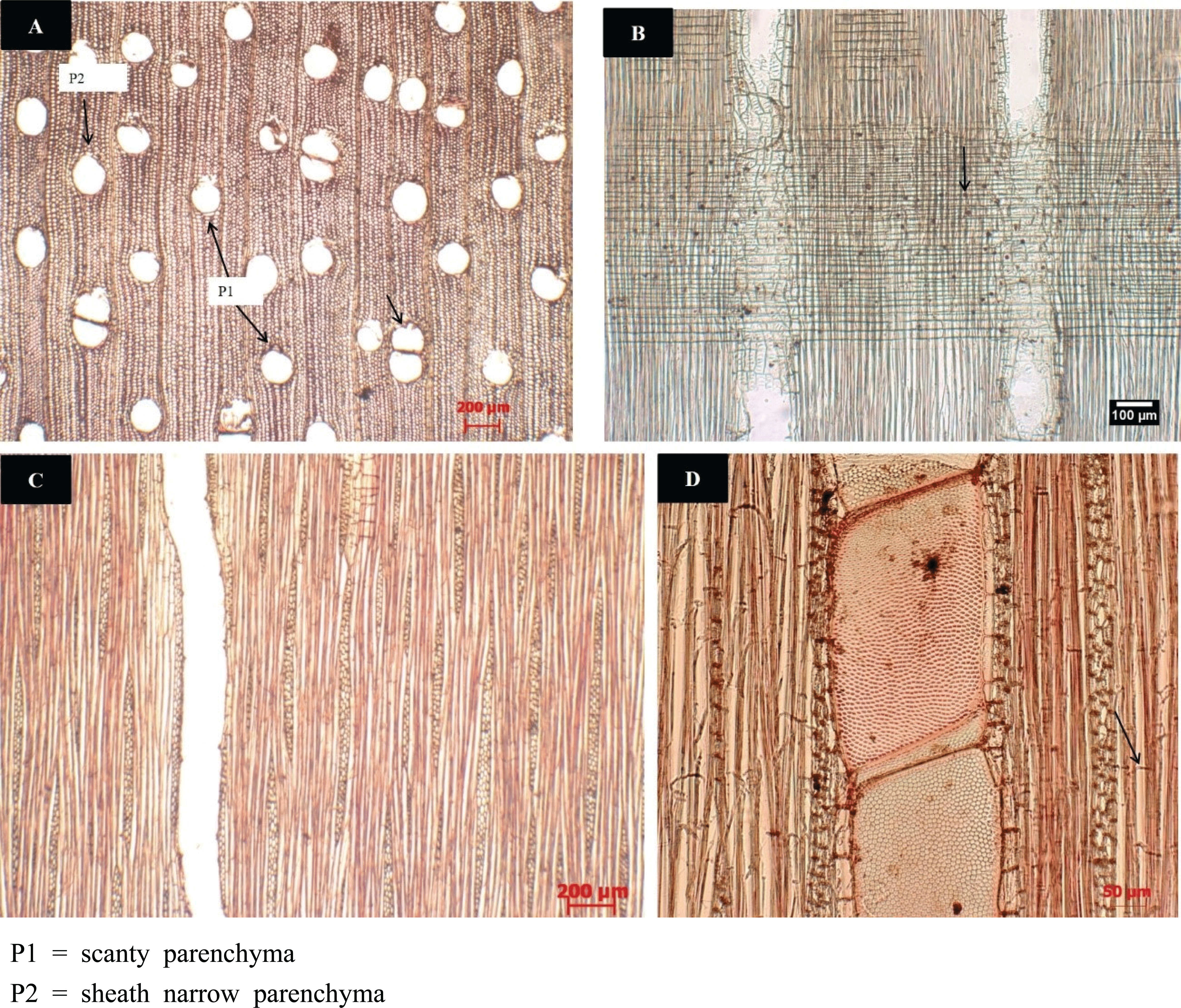 wood-47-5-617_F3