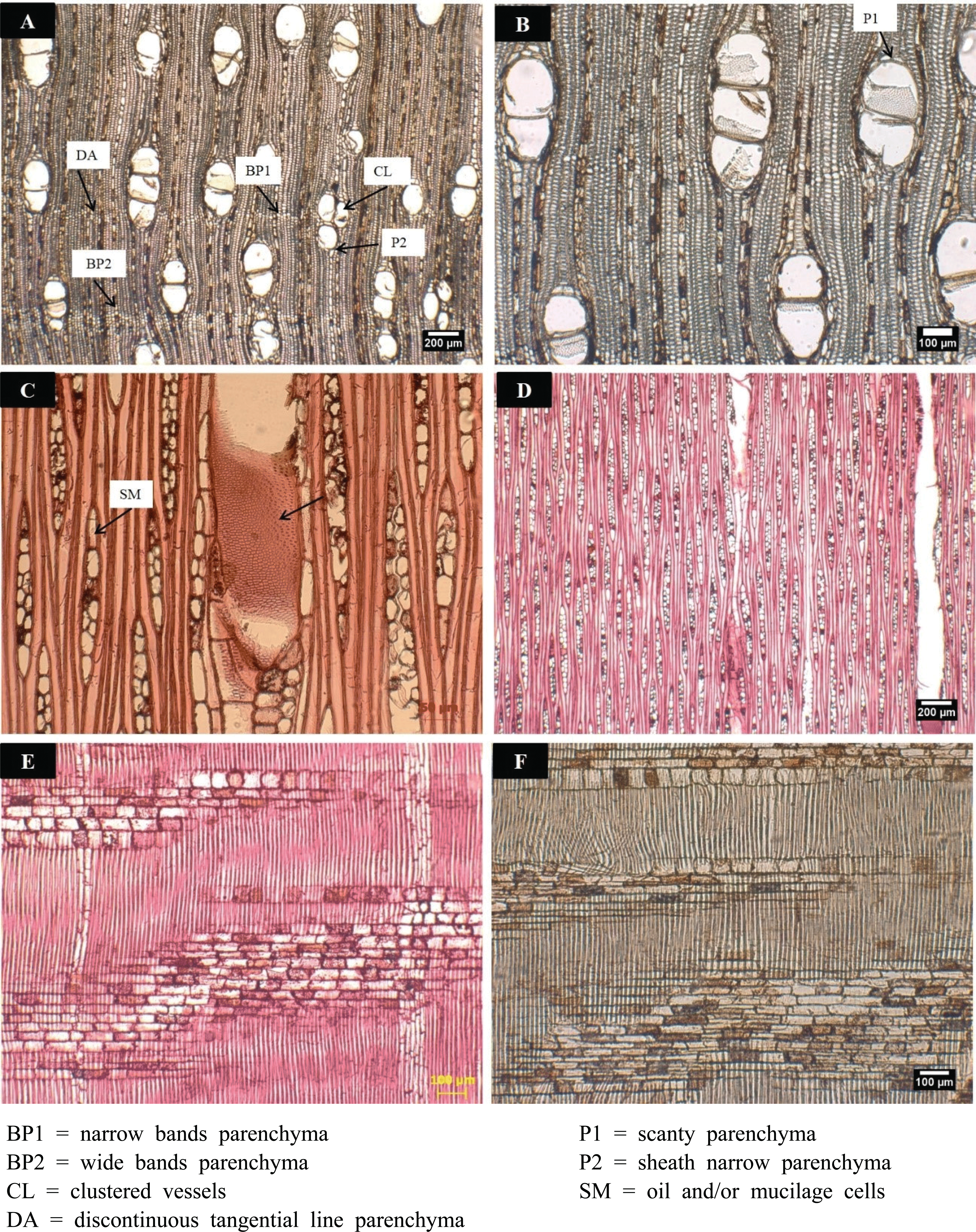 wood-47-5-617_F7