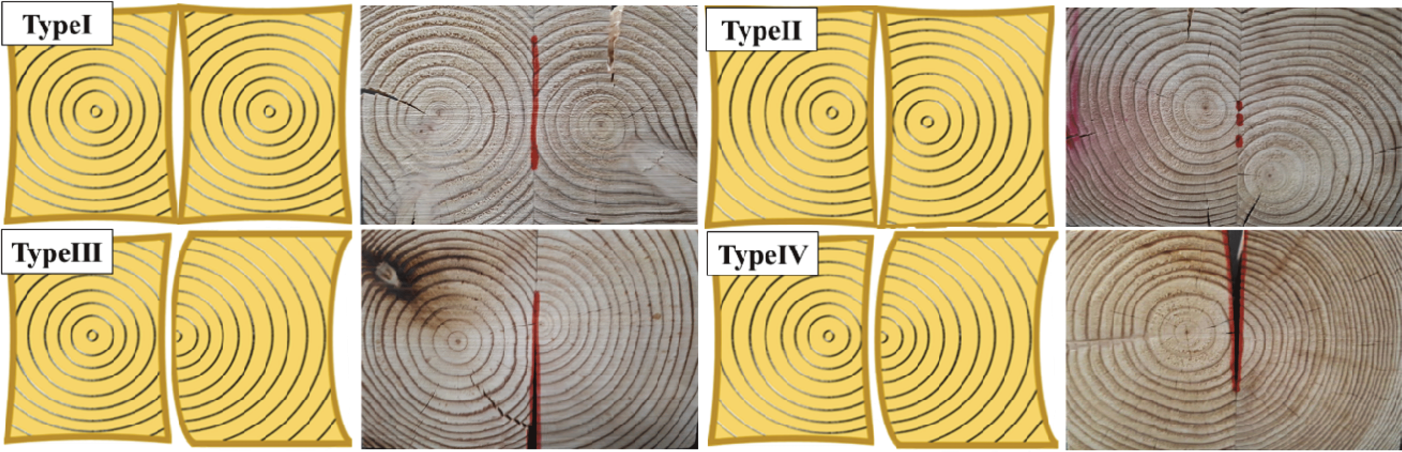 wood-47-5-655_F6