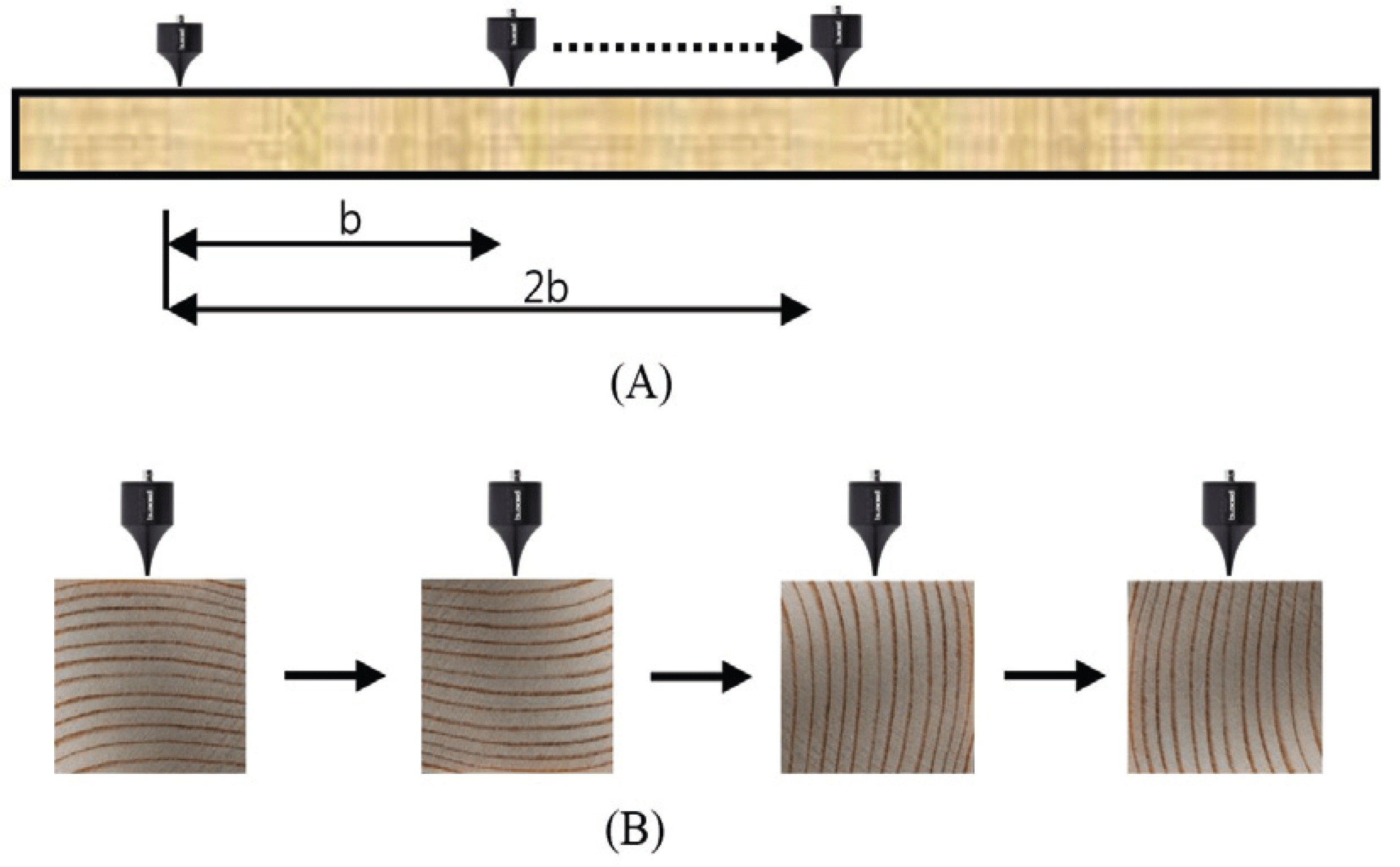 wood-48-4-562_F3