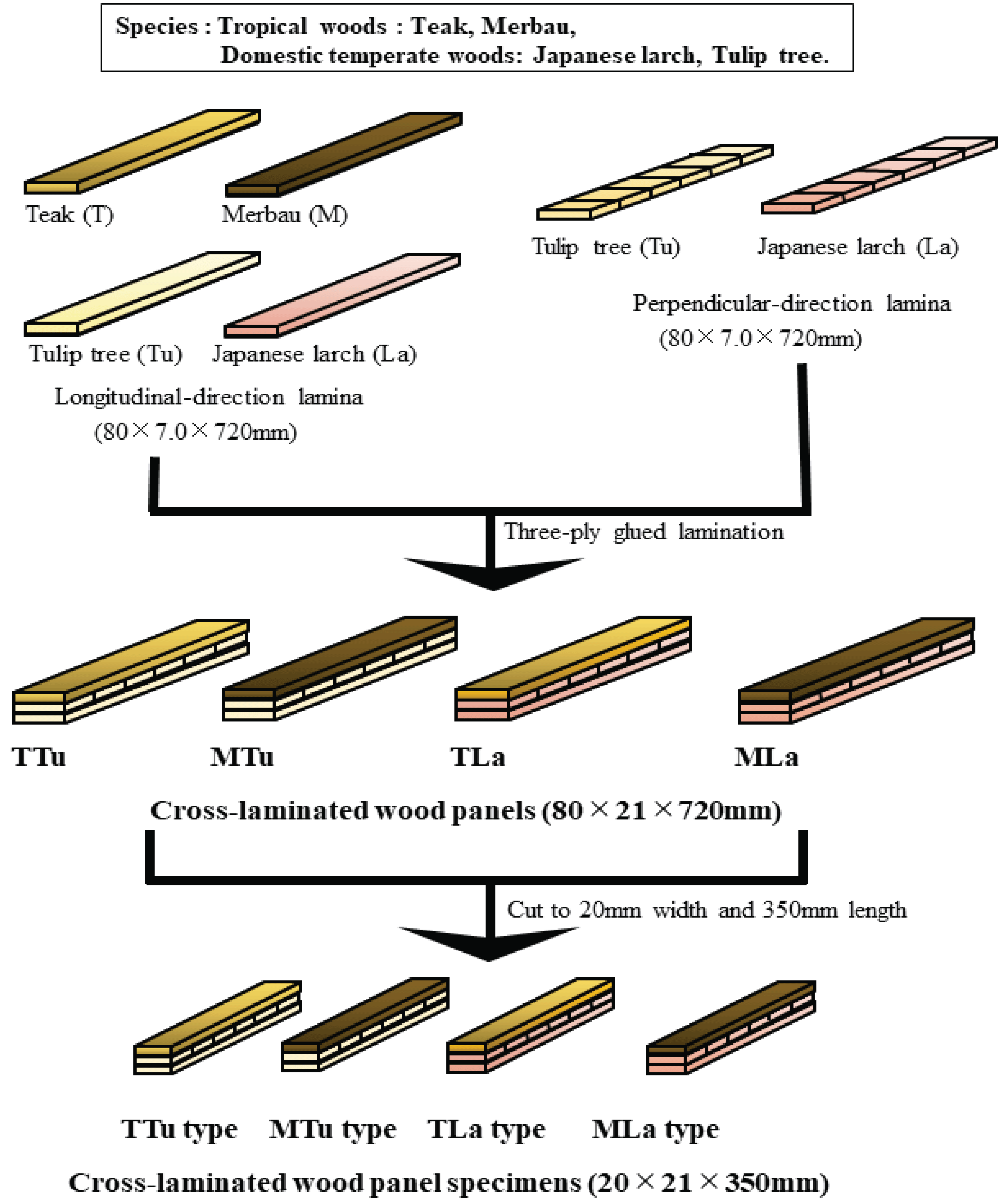 wood-48-5-608_F1