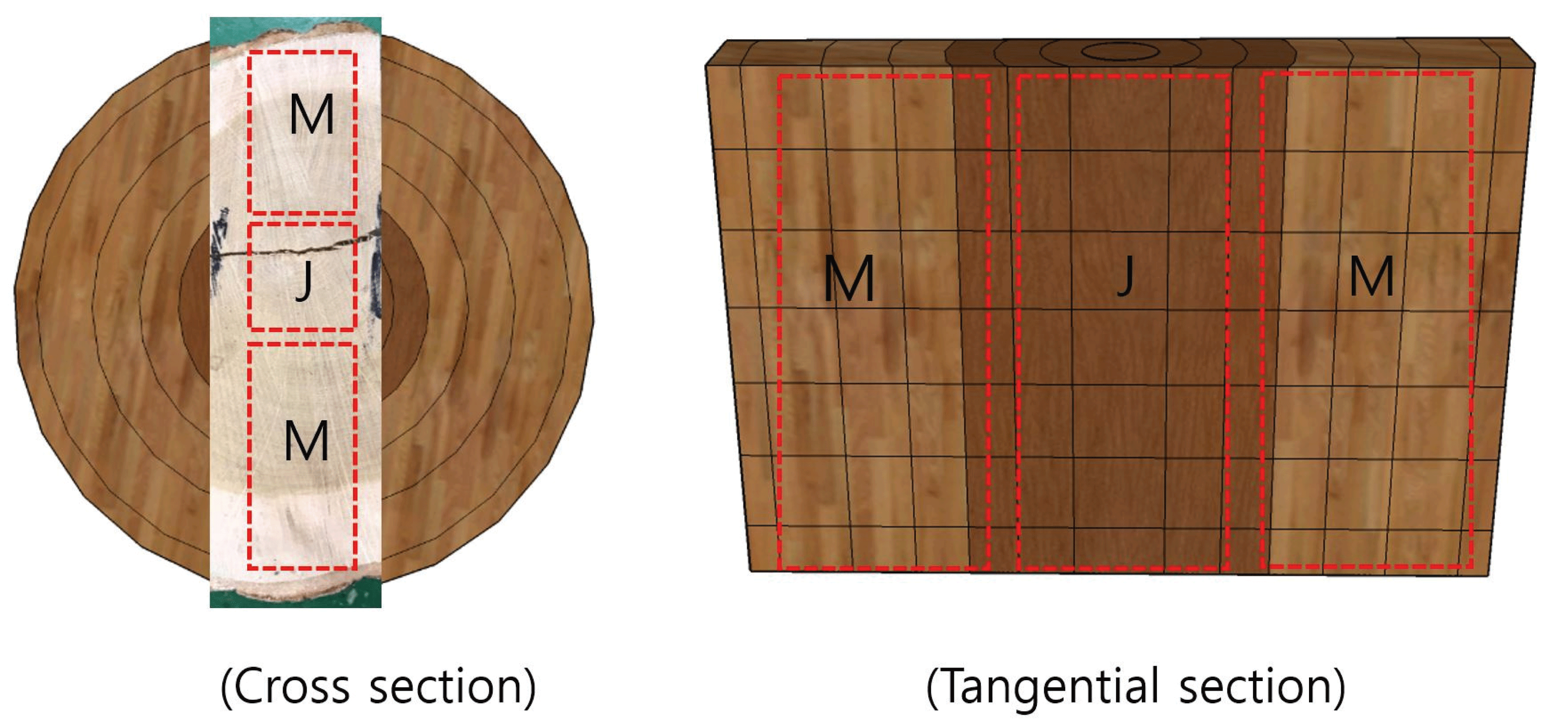 wood-48-6-820_F3