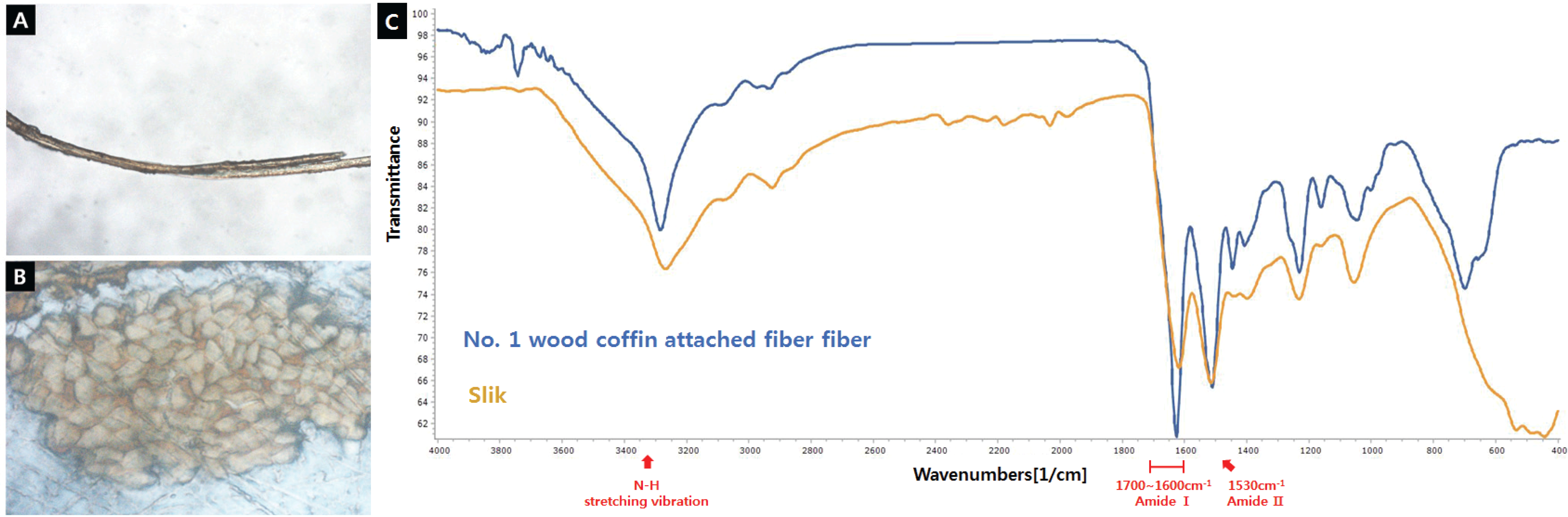 wood-49-1-67_F4