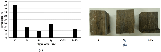 wood-49-6-541-g4