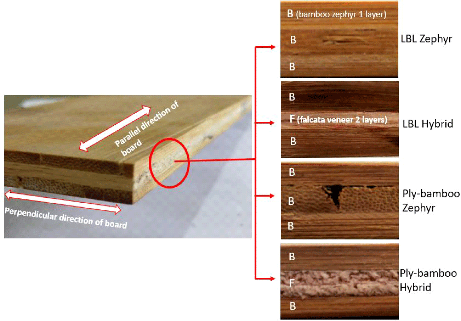 wood-50-2-134-g1