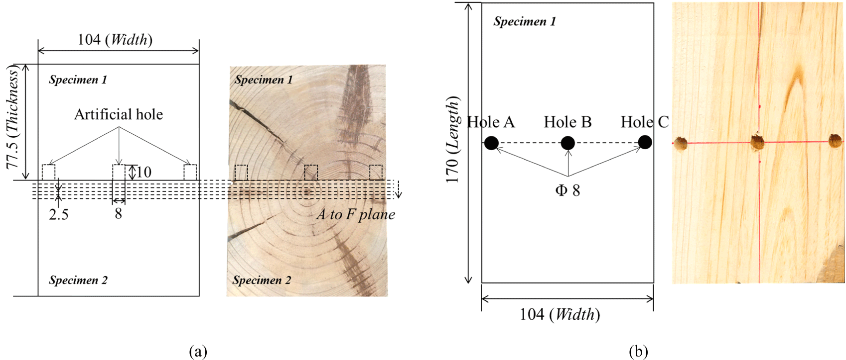 wood-50-4-246-g2