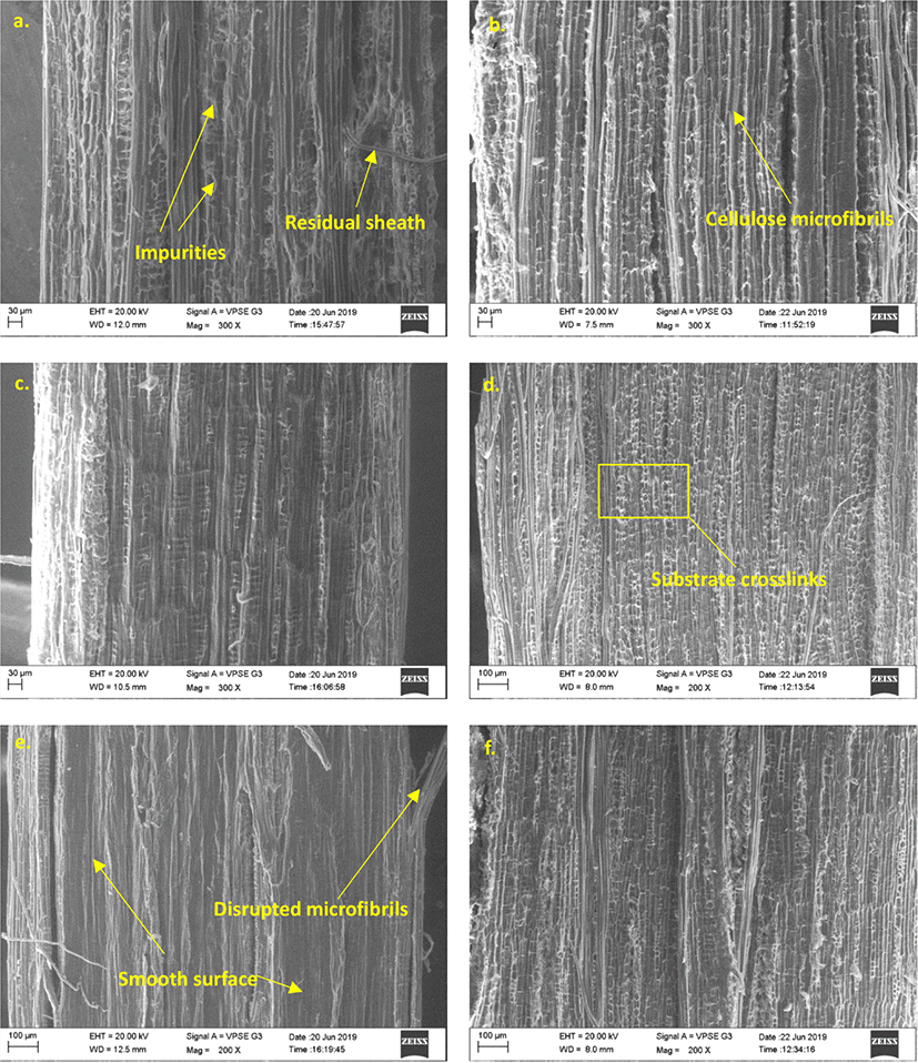 wood-50-5-325-g4