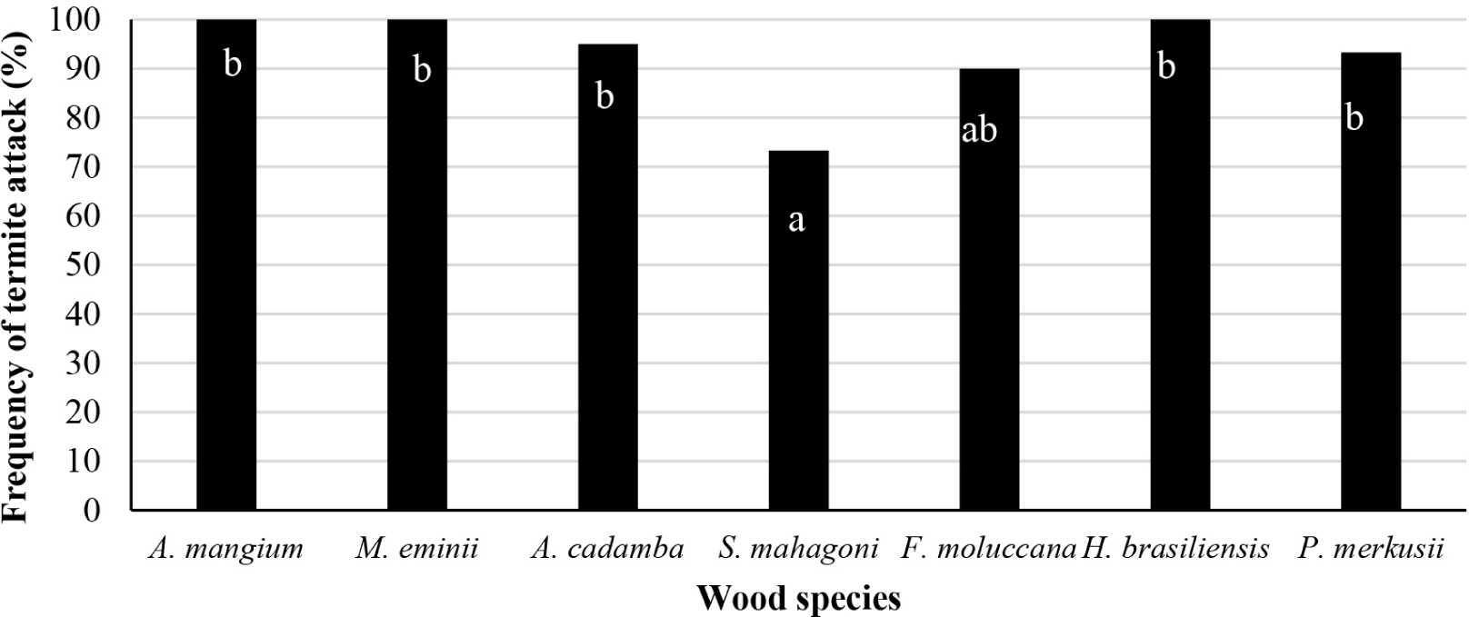 wood-50-6-458-g5