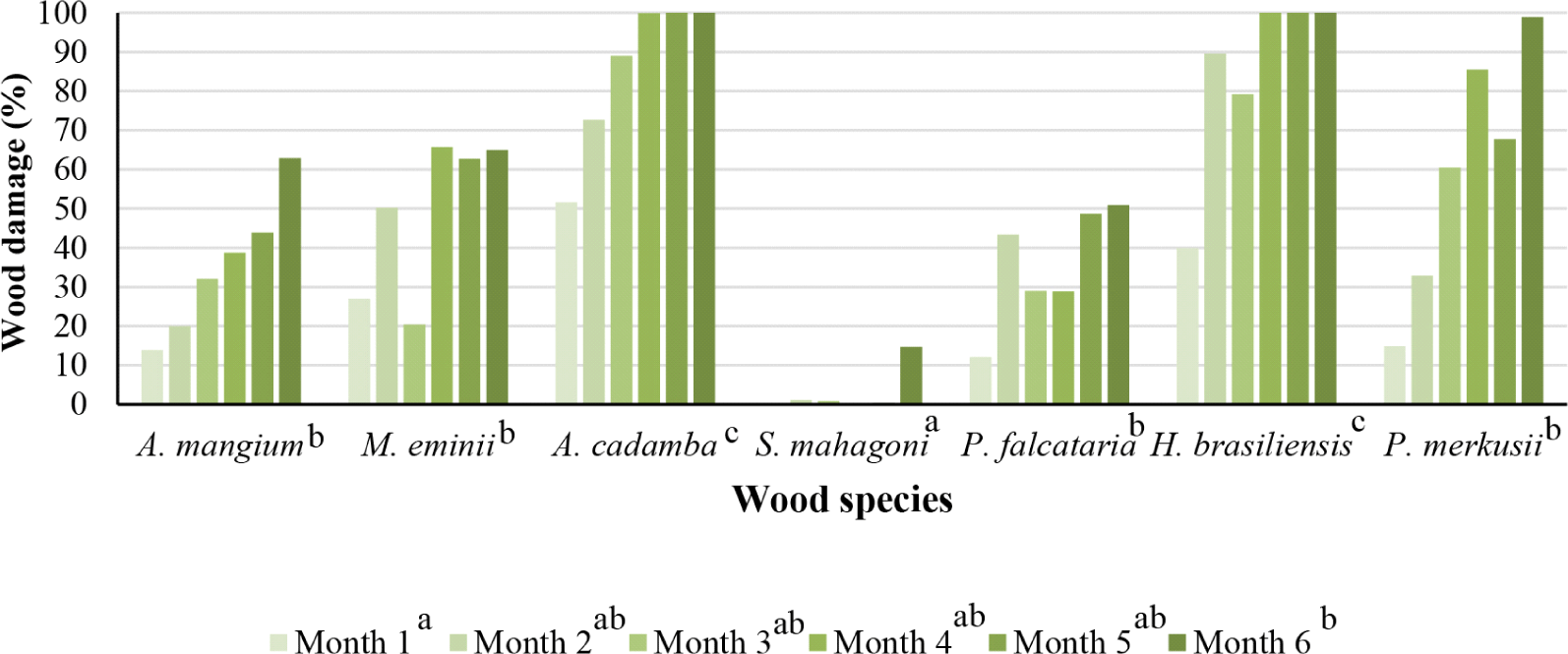 wood-50-6-458-g9