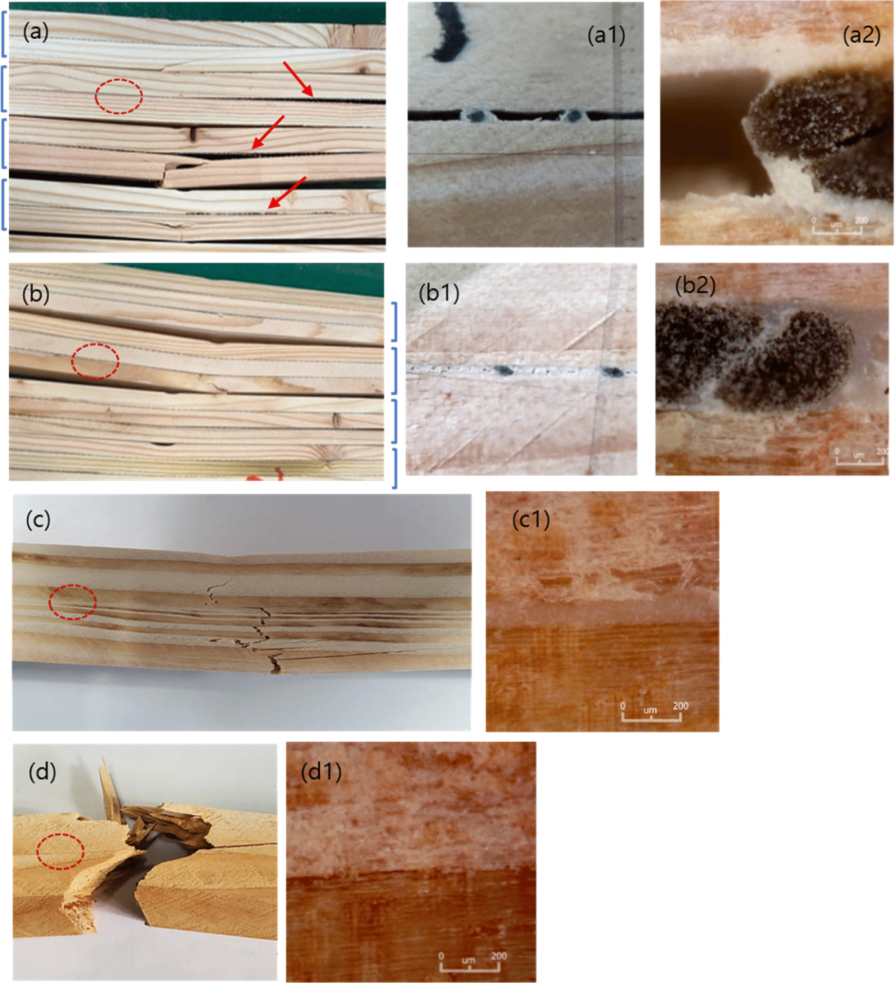 wood-51-1-14-g2