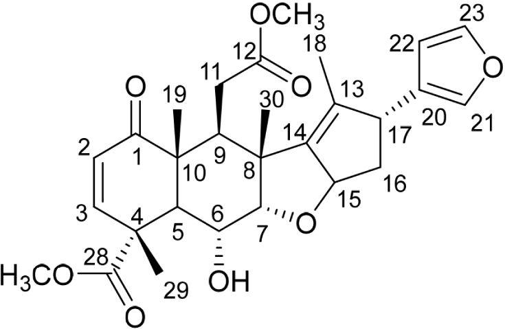 wood-51-3-157-g5