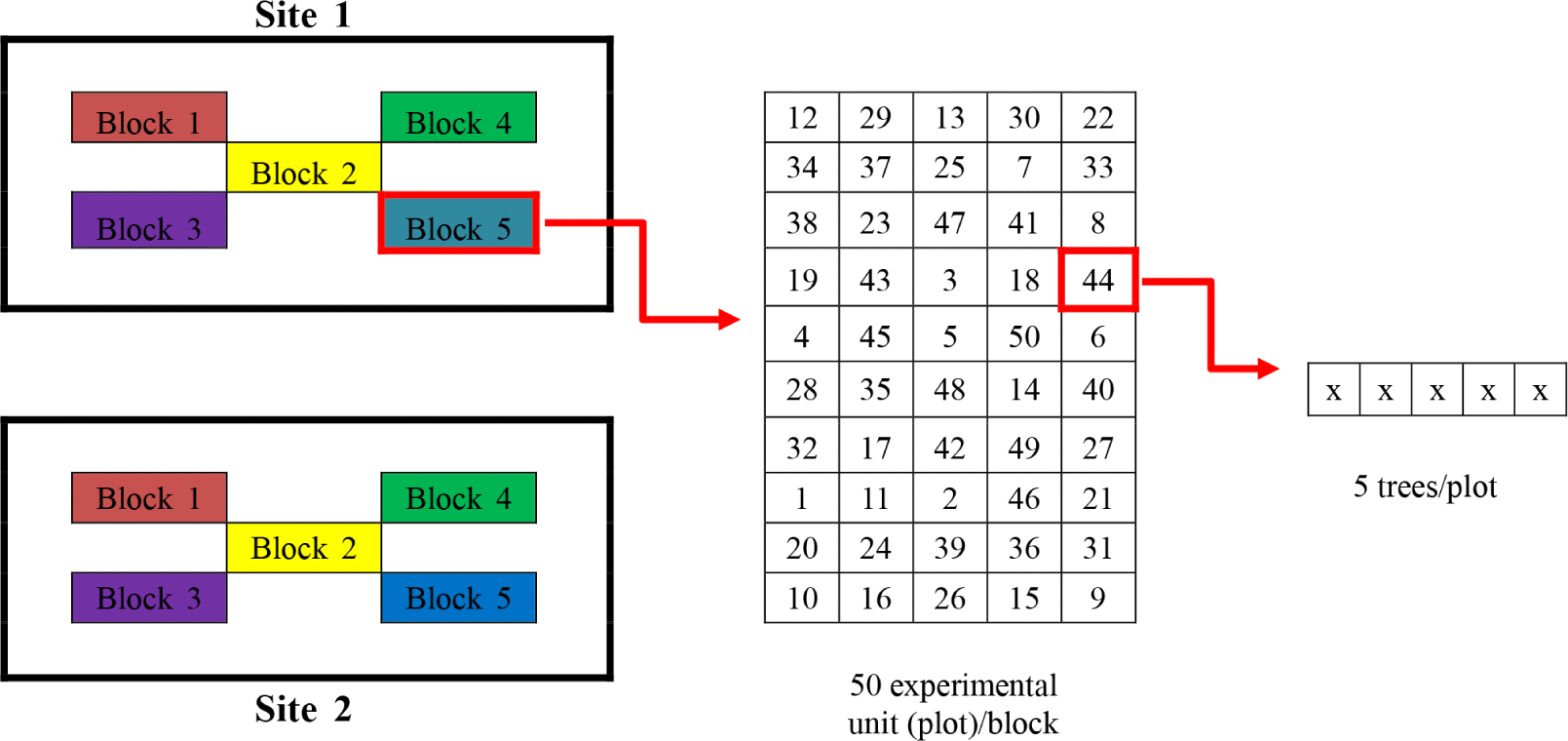 wood-51-3-222-g1