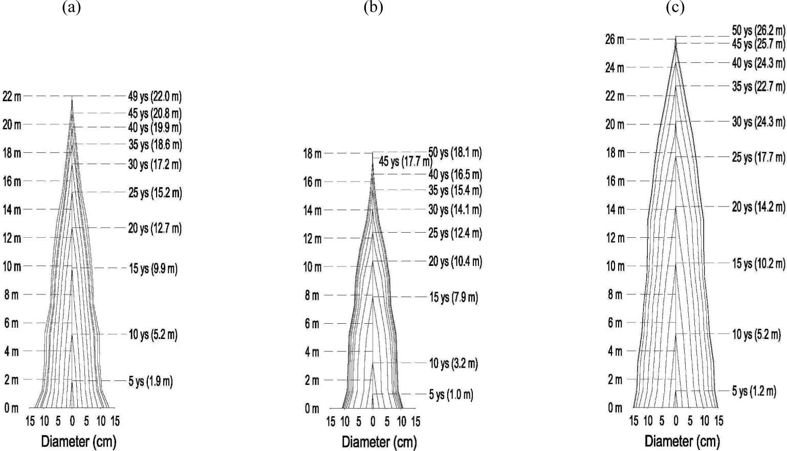 wood-51-5-345-g4