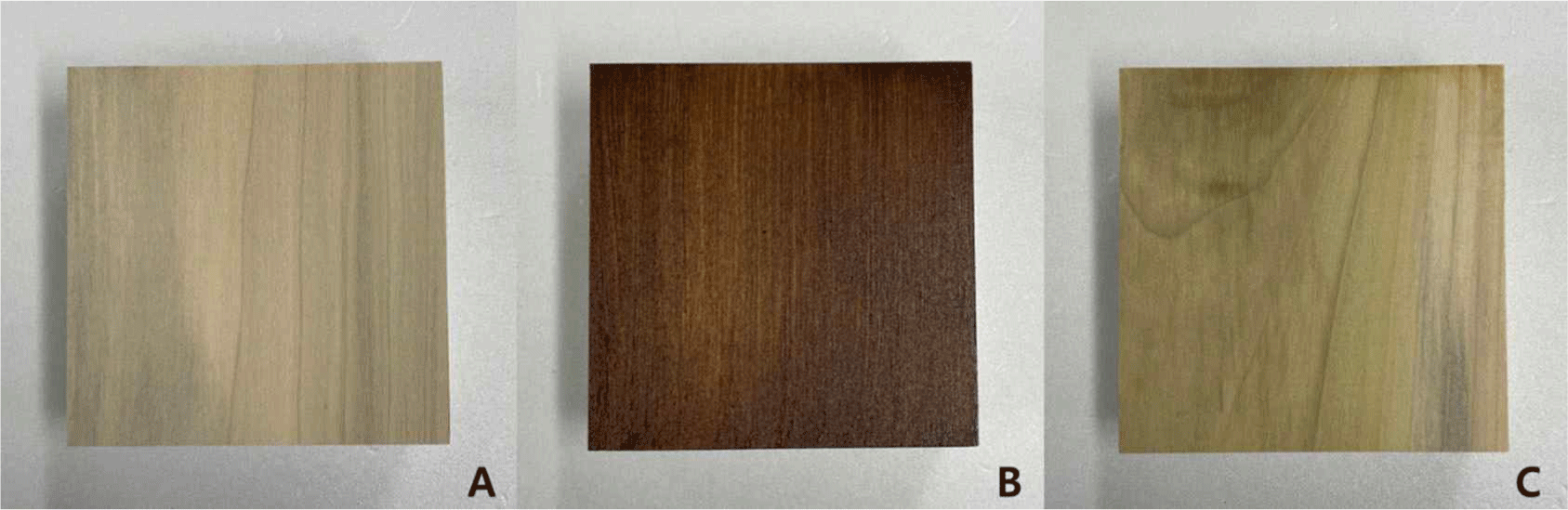wood-51-5-410-g2