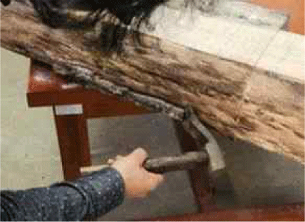 wood-52-3-276-i21