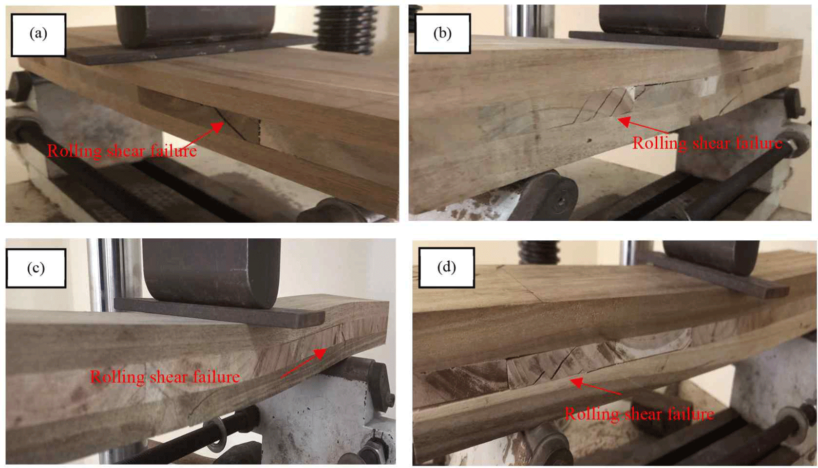 wood-53-3-207-g9