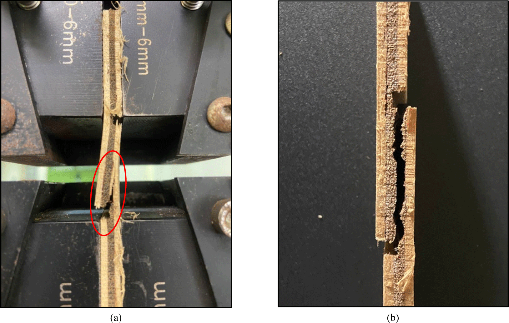 wood-53-4-429-g7