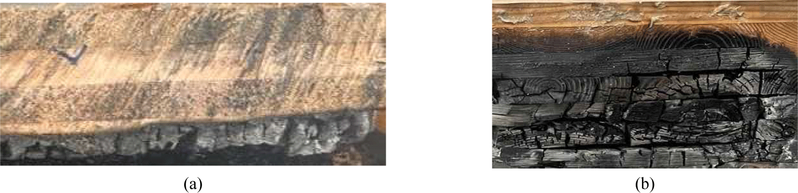 wood-53-5-550-g10
