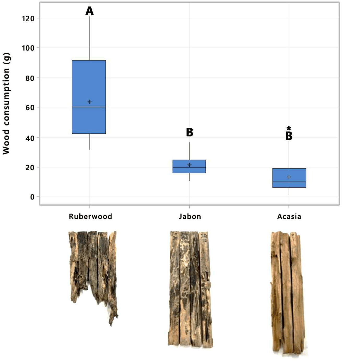 wood-54-3-275-g3