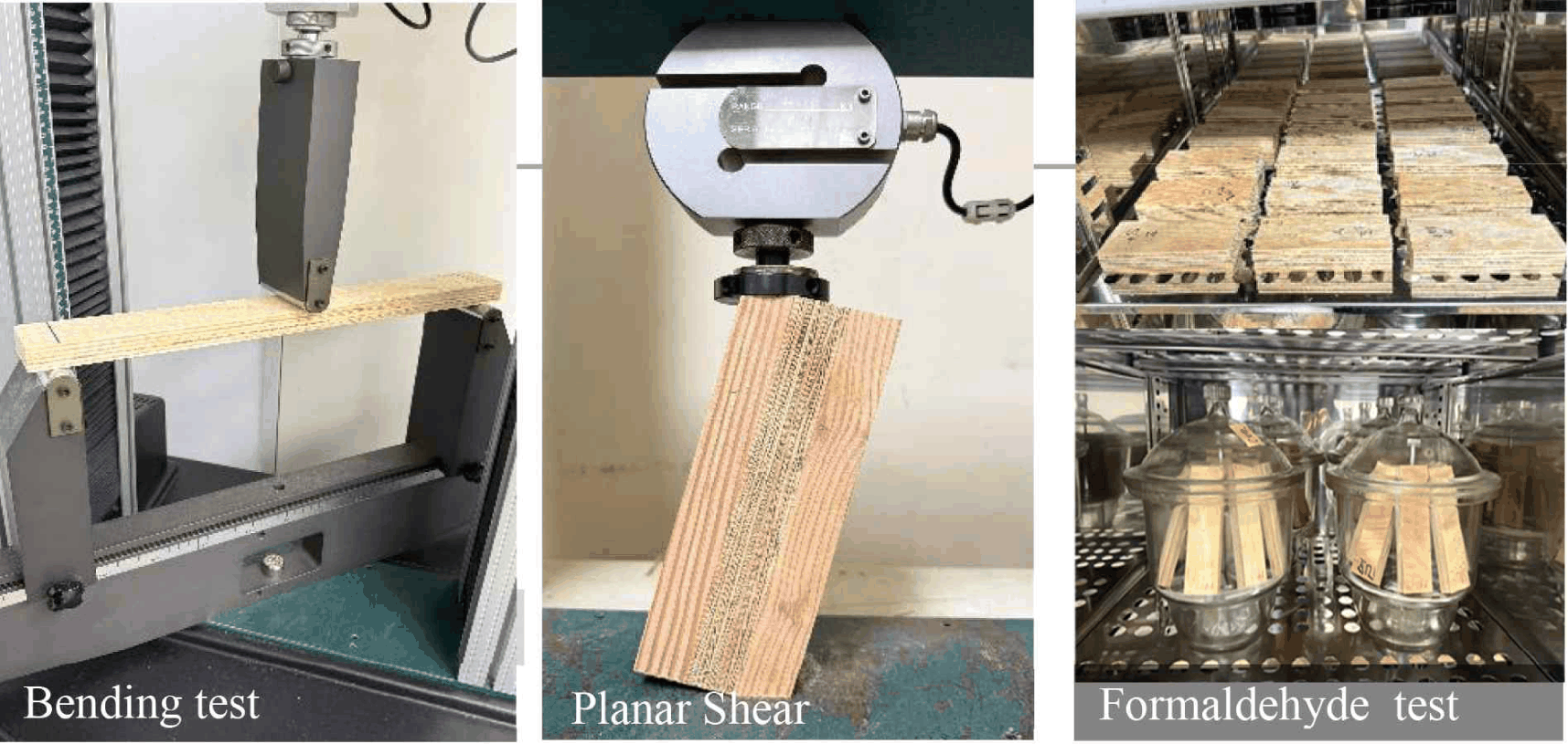 wood-54-4-447-g2