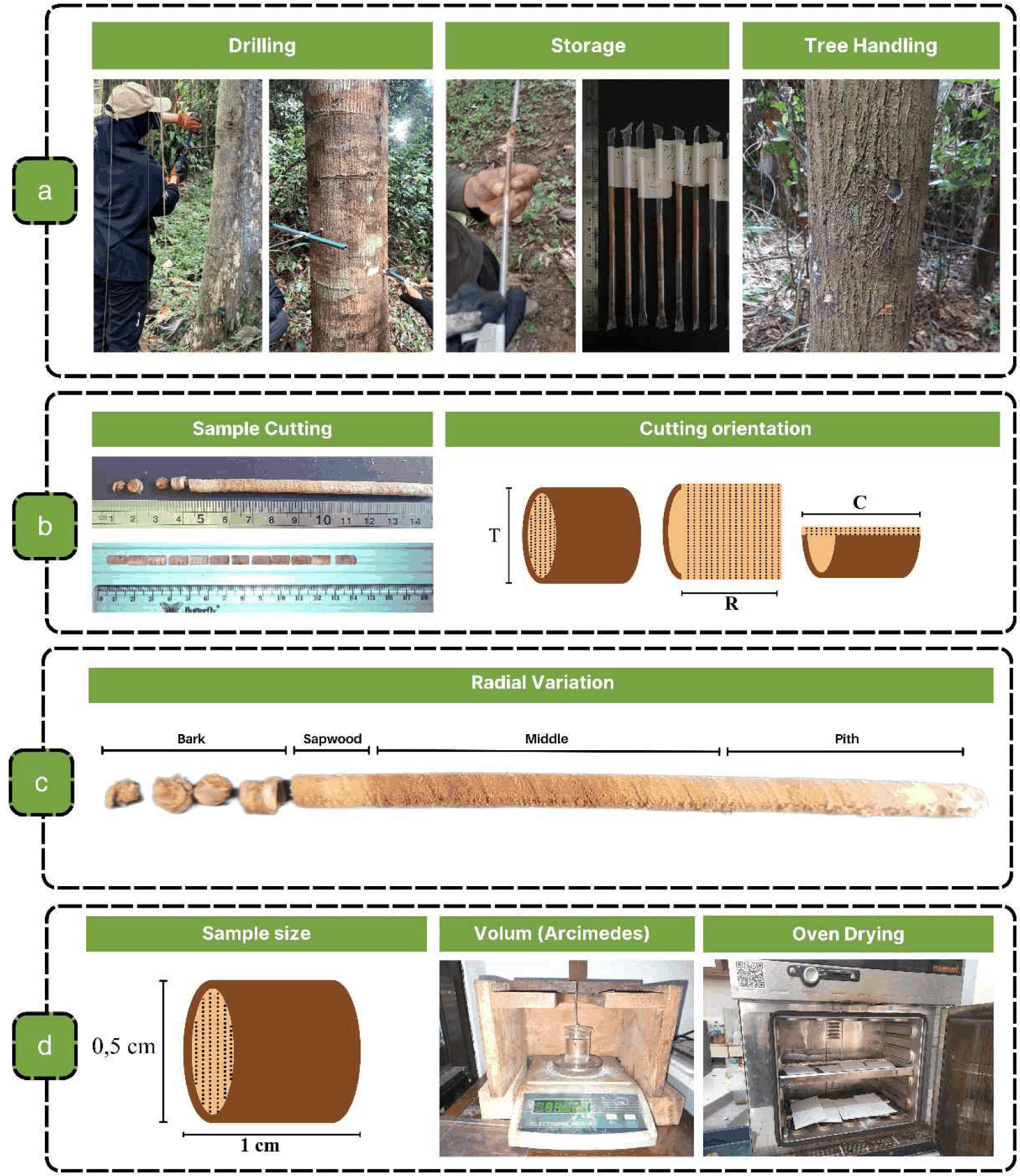 wood-54-5-598-g2