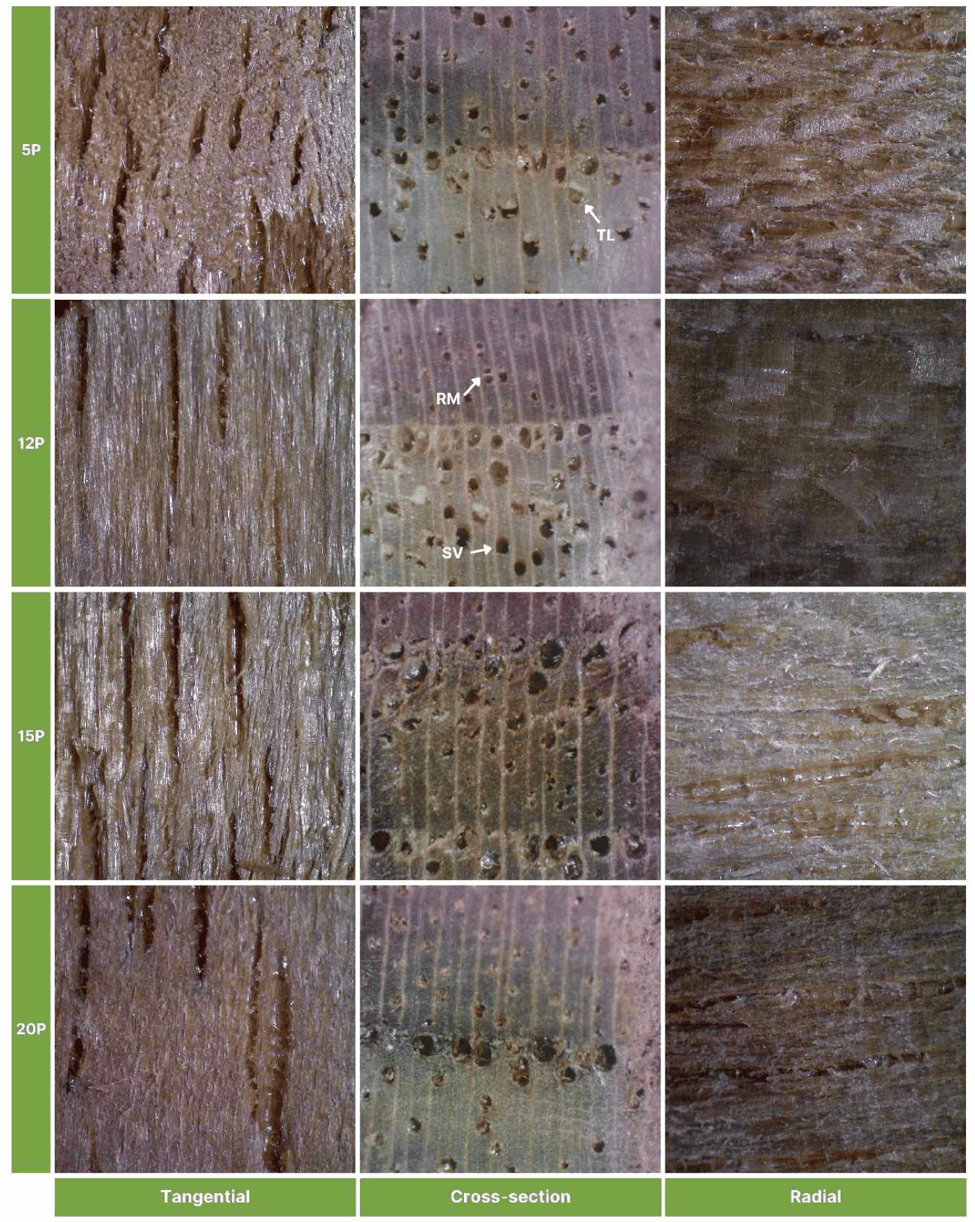 wood-54-5-598-g3