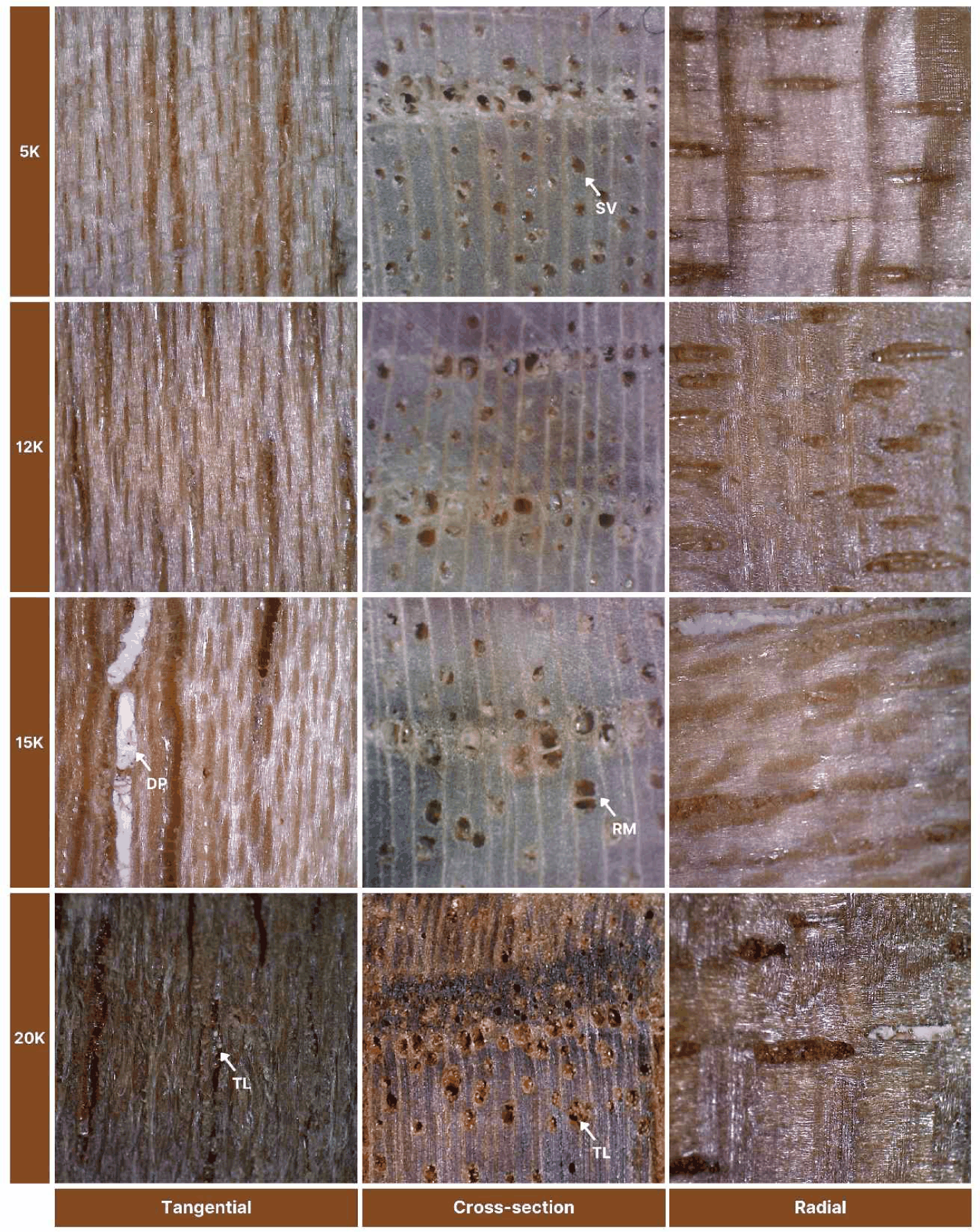 wood-54-5-598-g4